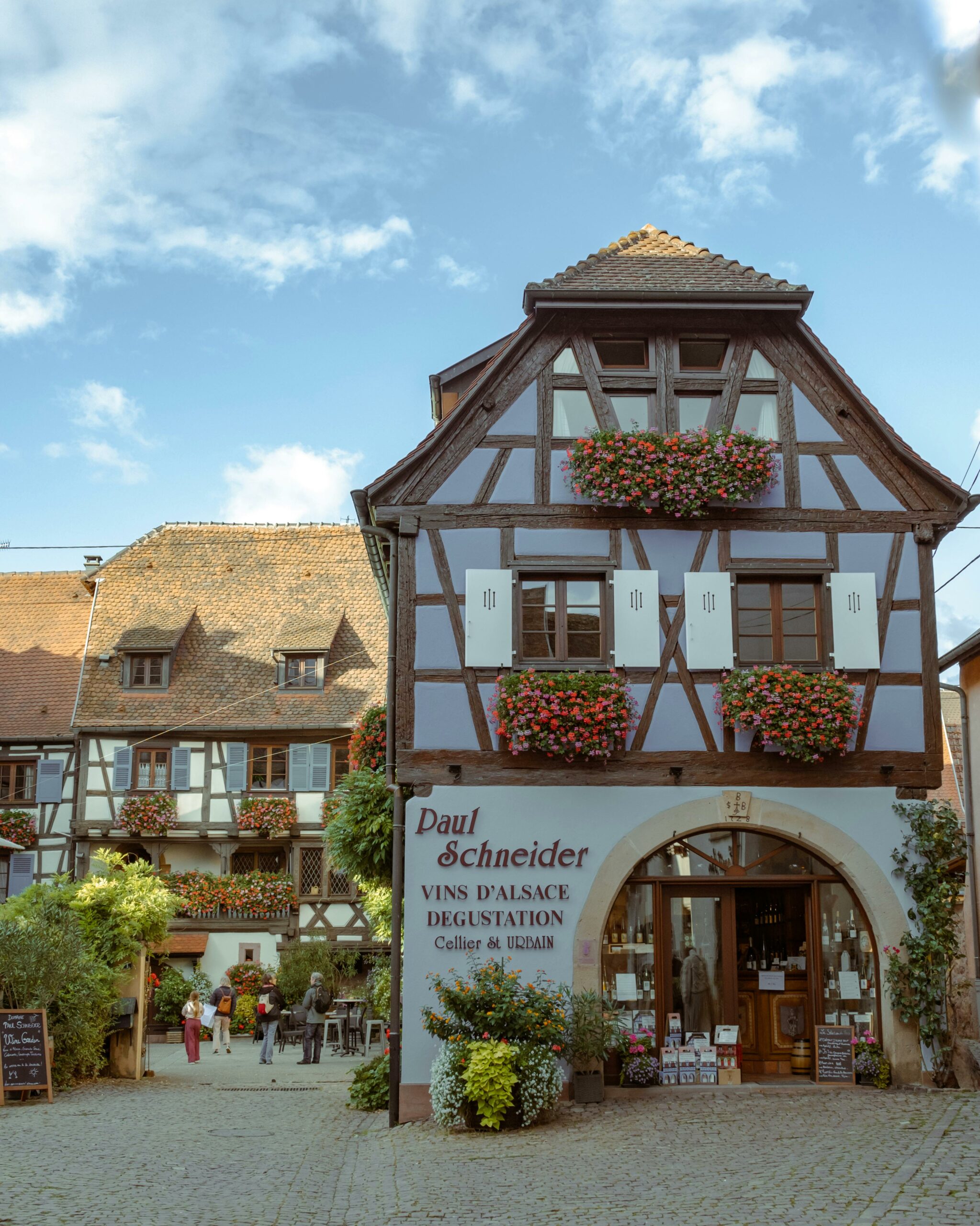Pourquoi la Route des Vins d'Alsace booste la demande Airbnb toute l'année
